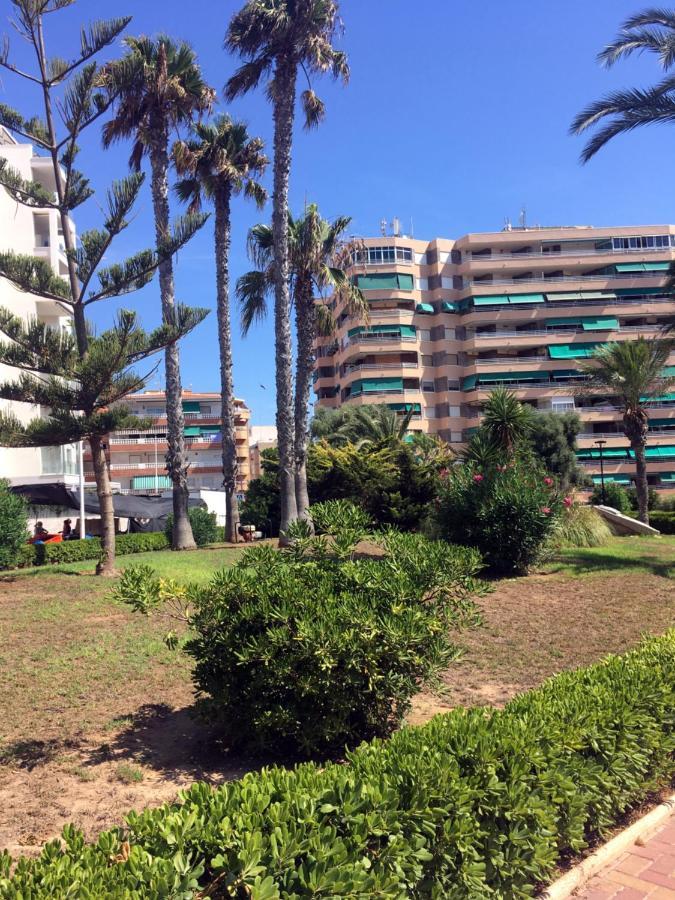Apartmento Hana Con Terraza - Despues De La Renovacion General La Mata  Exterior foto